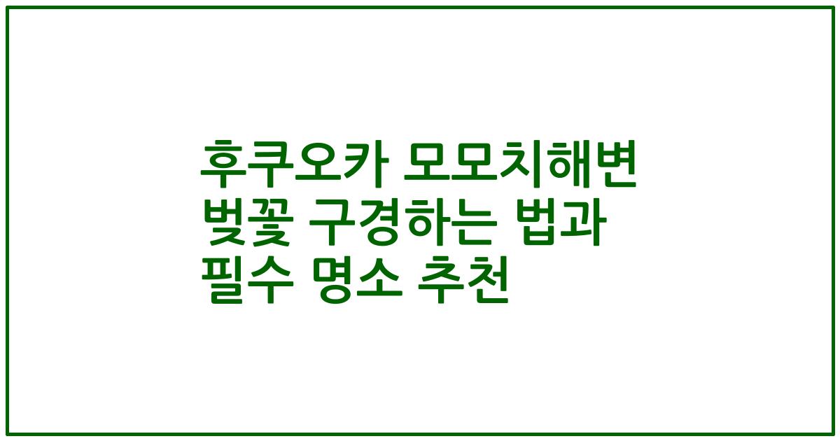 후쿠오카 모모치해변 벚꽃 구경하는 법과 필수 명소 추천