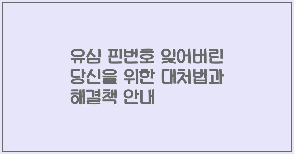 유심 핀번호 잊어버린 당신을 위한 대처법과 해결책 안내